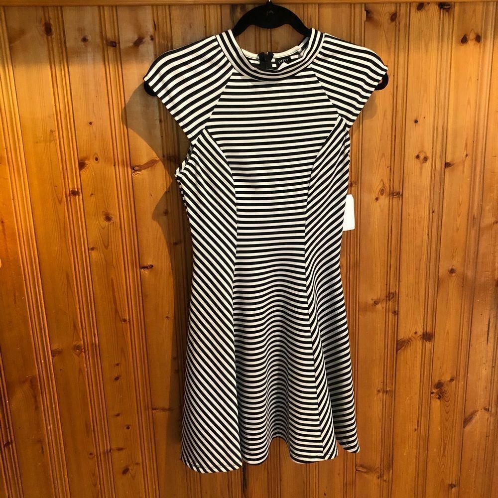 Privy Stripped Fit & Flare Dress Size Small